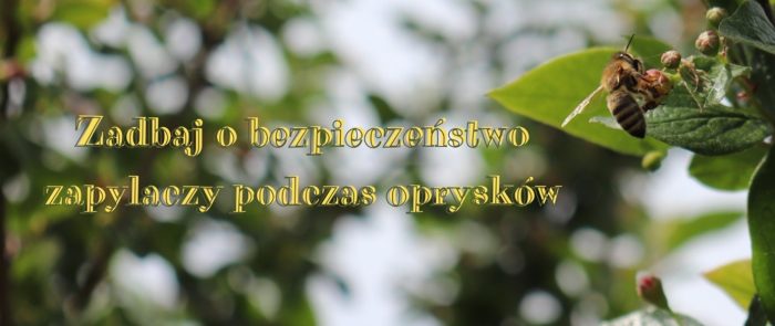 Miniaturka artykułu Zadbaj o bezpieczeństwo zapylaczy podczas oprysków